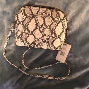 Steve Madden python snake print bmaggie dome purse